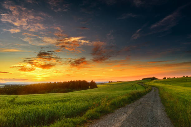 istock Landscape with sunny dawn in a field with clouds 1221804797