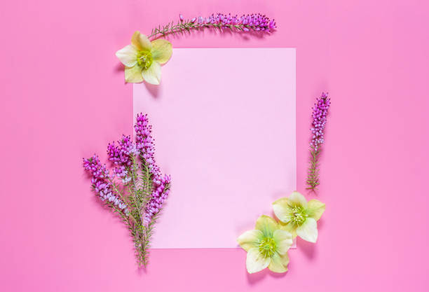 istock Composition of spring flowers, paper blank on a pink background.  Flat lay, top view. Minimal concept. Greeting card. 1221805529
