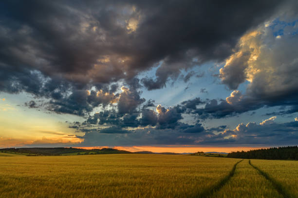 istock Landscape with sunny dawn in a field with clouds 1221805635