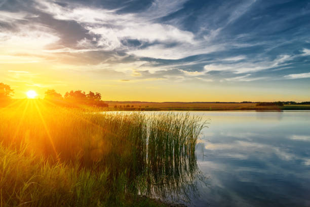 istock Summer sunset at the river with blue sky green trees and water with reflection 1221806611