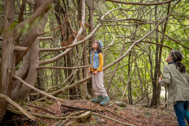 istock Kids in the forest 1221806691
