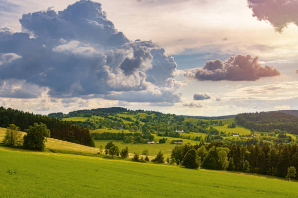 istock Spring summer background - grass field meadow scenery lanscape 1221807175