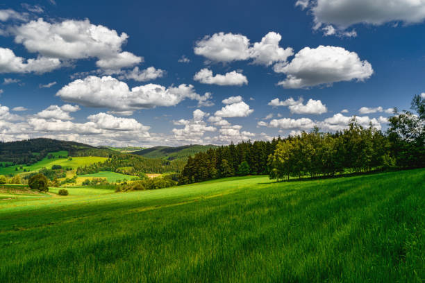 istock Spring summer background - grass field meadow scenery lanscape 1221808296