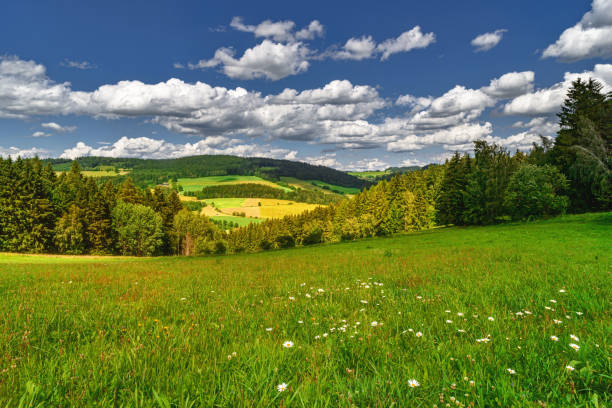 istock Spring summer background - grass field meadow scenery lanscape 1221809660