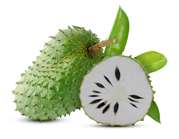 Soursop isolated on white background Soursop isolated on white background annonaceae stock pictures, royalty-free photos & images