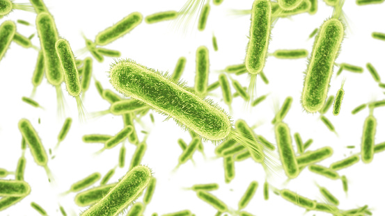 3d Render Bacterium closeup depth of field (isolated on white and clipping path)