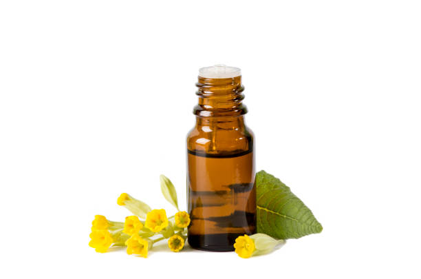istock Primula veris (cowslip, common cowslip, cowslip primrose; syn. Primula officinalis Hill tincture oil in bottle with fresh leaf and blossoms. Alternative medicine concept. 1221813307