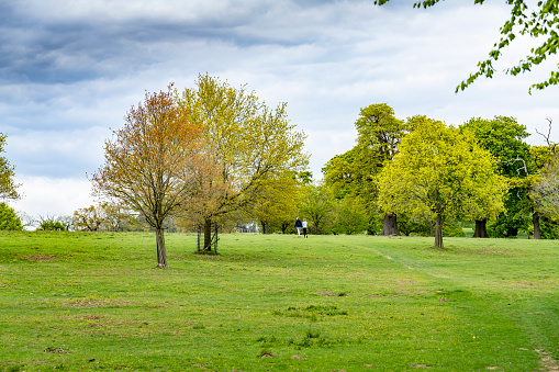 Two woman walking in the English countryside of a deer park in Bedfordshire, England, UK