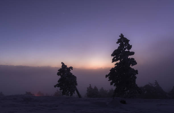 noche de invierno en la montaña ai-petri crimea - ariel cisjordania fotografías e imágenes de stock