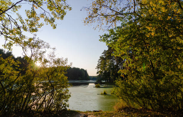 istock View of the lake in the backlight. 1221817401