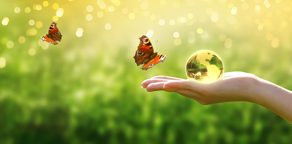 Earth crystal glass globe in human hand and flying peacock eye butterflies on grass background. Saving environment and clean green planet concept. Card for World Earth Day.