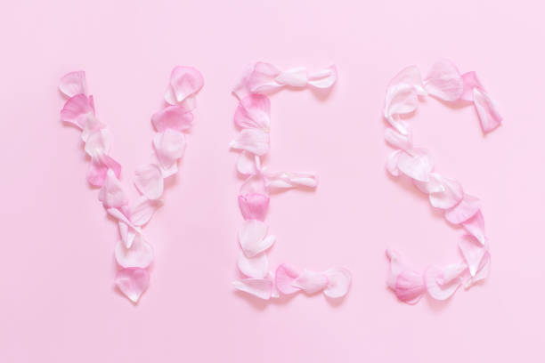 istock Text YES made of pink petals on a light pink background 1221817844