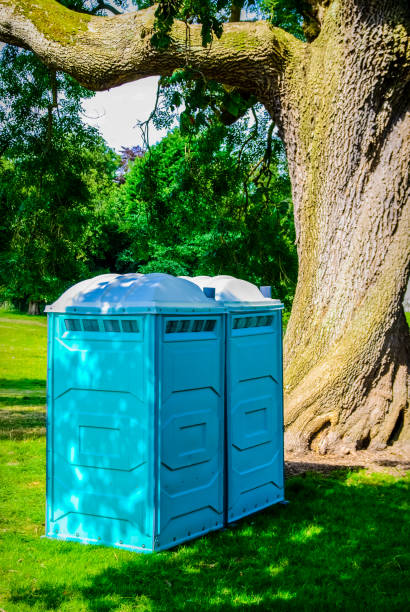 istock Two blue - white portable toilet cabins at outside event UK 1221818975