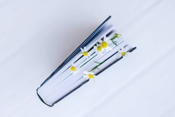 A book decorated with white daisy flowers.