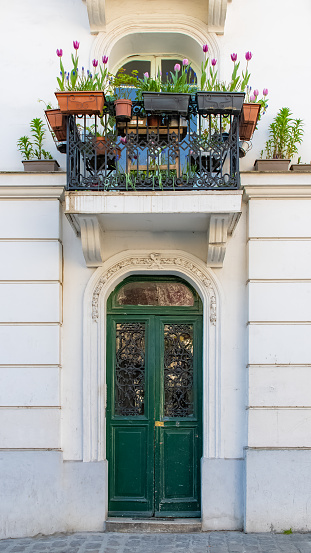 Paris, an old wooden door, with tulips on the balcony, typical building in Montmartre