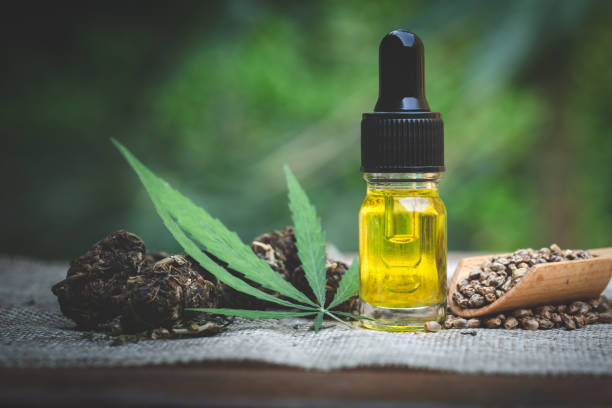 CBD oil cannabis extract, Hemp oil bottles and hemp flowers on a wooden table,  Medical cannabis concept, copy space. CBD oil cannabis extract, Hemp oil bottles and hemp flowers on a wooden table,  Medical cannabis concept, copy space. cooking oil photos stock pictures, royalty-free photos & images