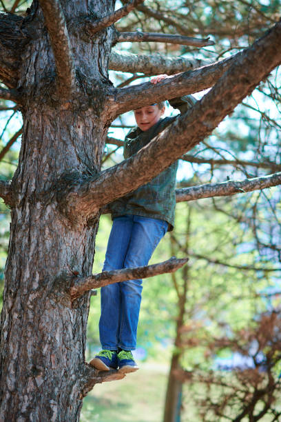 istock Child girl climbing in a tree, bright sunlight, beautiful day 1221823004