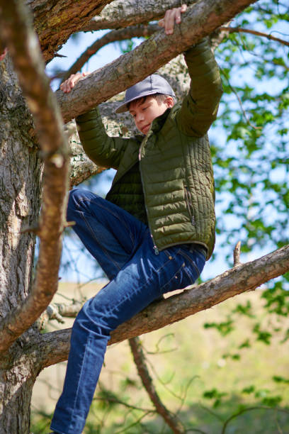 istock Teen boy climbing in a tree, bright sunlight, beautiful day 1221823374