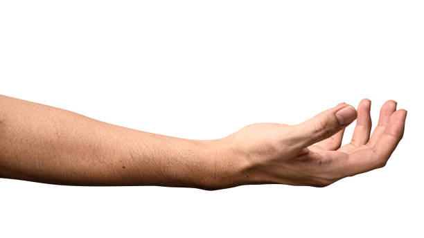 istock Hand open and ready to help or receive. Gesture isolated on white background with clipping path. 1221826195