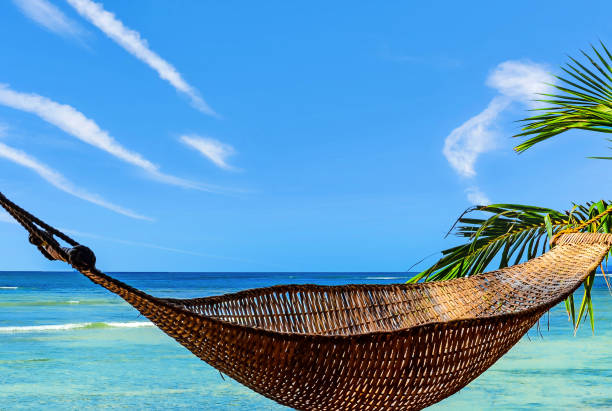 istock hammock on the edge of a beautiful sunny lagoon 1221826840