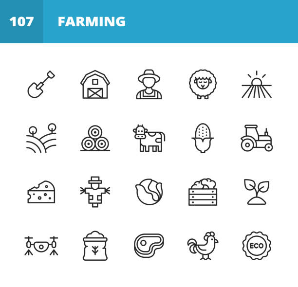 ilustraciones, imágenes clip art, dibujos animados e iconos de stock de iconos de la línea agrícola. trazo editable. píxel perfecto. para móviles y web. contiene iconos tales como granja, agricultura, campo, granero, animal, tractor, vegetales, frutas, ecología, pollo, bio, steak, drone, planta, semilla, queso, vaca, 
ma� - biology vegetable farmer fruit