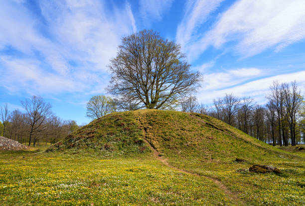 Borre burial mounds near Horten, Vestfold Norway Borre mound cemetery at springtime with lots of spring flowers, Borre National Park burial mound photos stock pictures, royalty-free photos & images