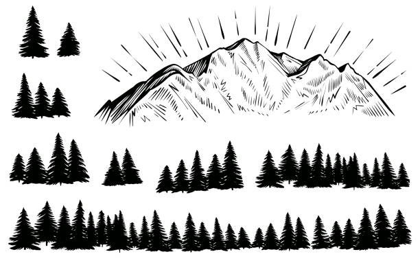 Vector sketched mountain with forest silhouette with sun rays. Vector mountain with forest silhouette. Sketch rocky peak with sun rays and pine trees. pine trees silhouette stock illustrations