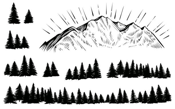 Vector sketched mountain with forest silhouette with sun rays. Vector mountain with forest silhouette. Sketch rocky peak with sun rays and pine trees. Pine stock illustrations