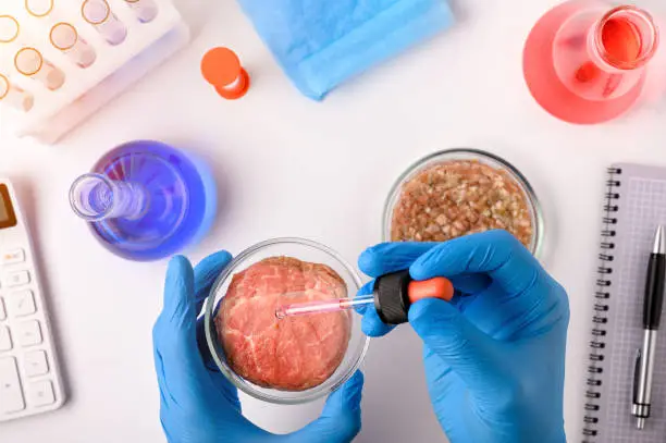 Photo of .Synthetic meat production. Checking the product for suitability in the laboratory. Artificial meat is the food of the future. Test tube meat.