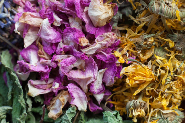 花のドライミックスのクローズアップ - lavender dried plant lavender coloured bunch ストックフォトと画像