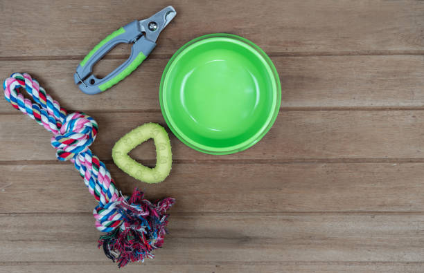 istock Bowl plastic and toy for pet  on wooden background 1221835595