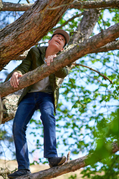 istock Teen boy climbing in a tree, bright sunlight, beautiful day 1221836010