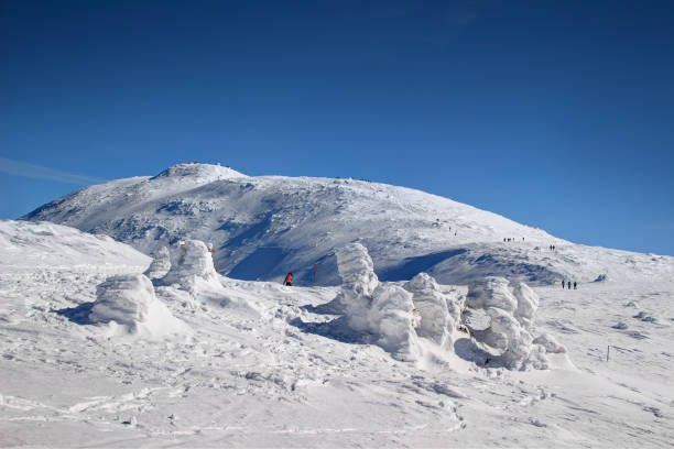 wanderer klettern auf sanften hängen zum sonnigen diablak gipfel des babia-hora-massivs in beskiden zywiecki karpaten polen / slowakei - snowpack stock-fotos und bilder