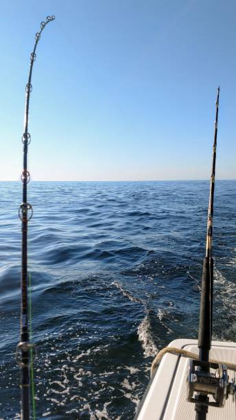 istock Fishing Boat with Poles 1221836798