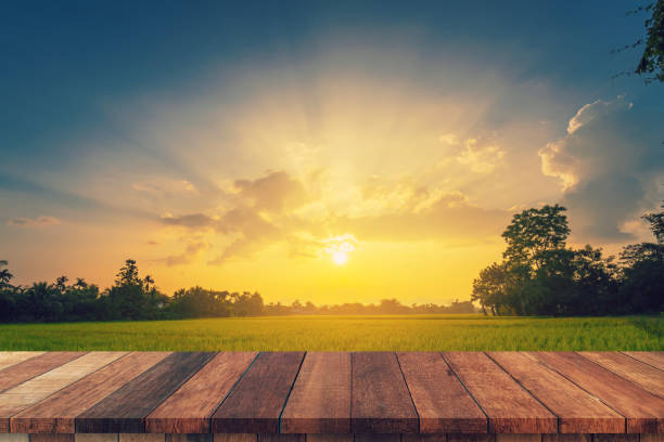istock Rice field sunset and Empty wood table for product display and montage. 1221837238