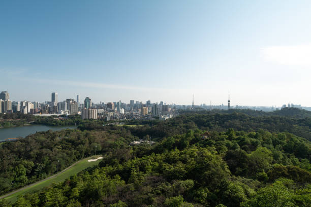 istock Guangzhou skyline at day 1221837780