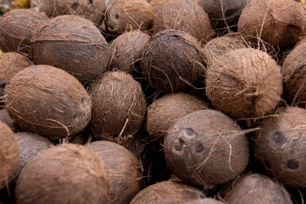 istock Coconut displayed in the market 1221840707