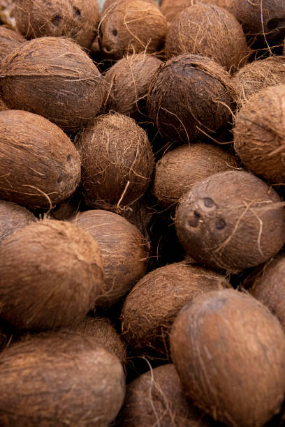 istock Coconut displayed in the market 1221841021