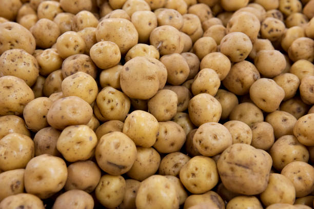 istock Potato displayed in the market 1221841298