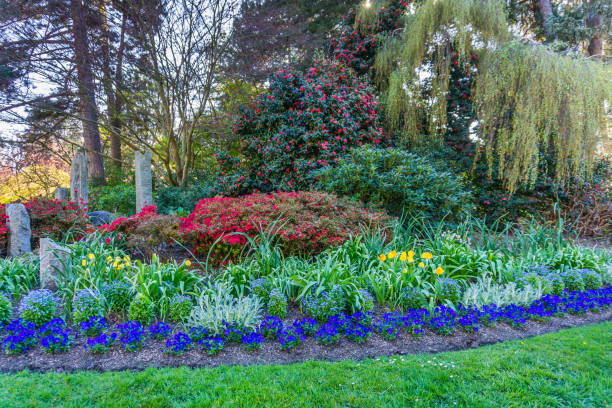 istock Seward Park Flower Garden 5 1221841367