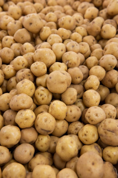 istock Potato displayed in the market 1221841888