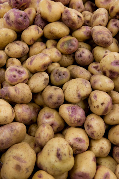 istock Potato displayed in the market 1221841976