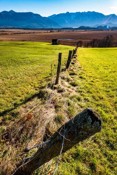 istock landscape murnauer moos - bavaria 1221842946