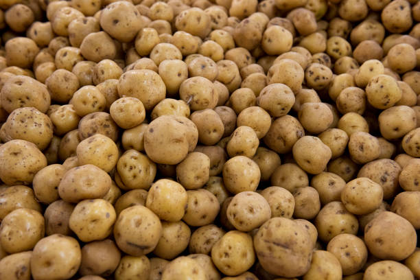 istock creole potato displayed in a market 1221843579