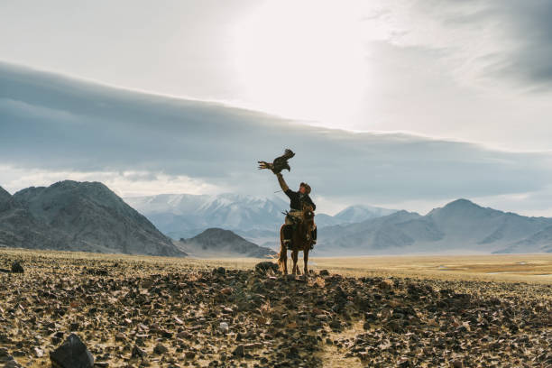 eagle hunter on horse in desert in mongolia - gobi desert imagens e fotografias de stock