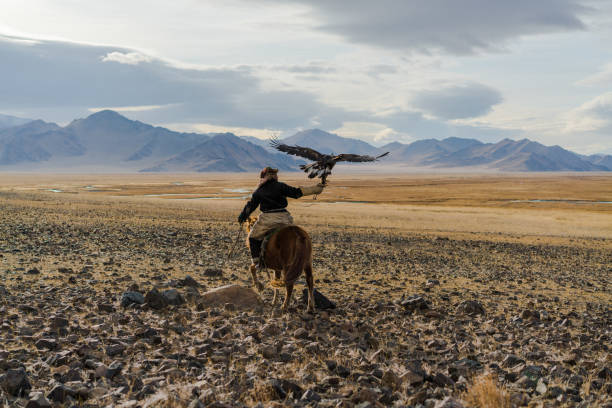 Eagle hunter on horse in desert in Mongolia Eagle hunter on horse in desert in Mongolia mongolian ethnicity stock pictures, royalty-free photos & images