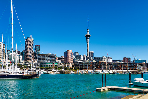 Auckland sky-line and Viaduct Harbour in New Zealand