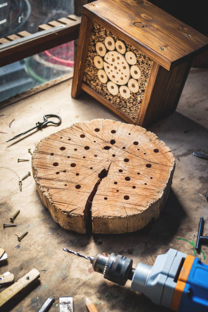 istock Making insect hotel or house in workshop 1221848170