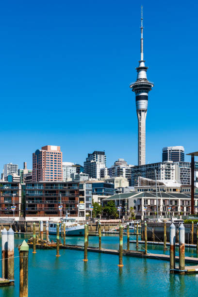 Auckland sky-line and Viaduct Harbour in New Zealand stock photo