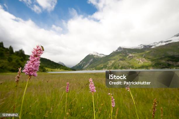 Foto de Engadine Lagos Prato e mais fotos de stock de Cantão de Graubunden - Cantão de Graubunden, Céu - Fenômeno natural, Engadine